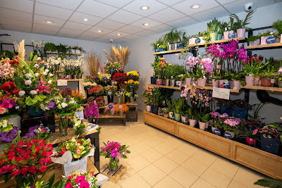 Monceau Fleurs à Sainte-Geneviève-des-Bois