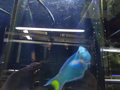 Pet Store «Pet World», reviews and photos, 891 Harriman Pl, San Bernardino, CA 92408, USA