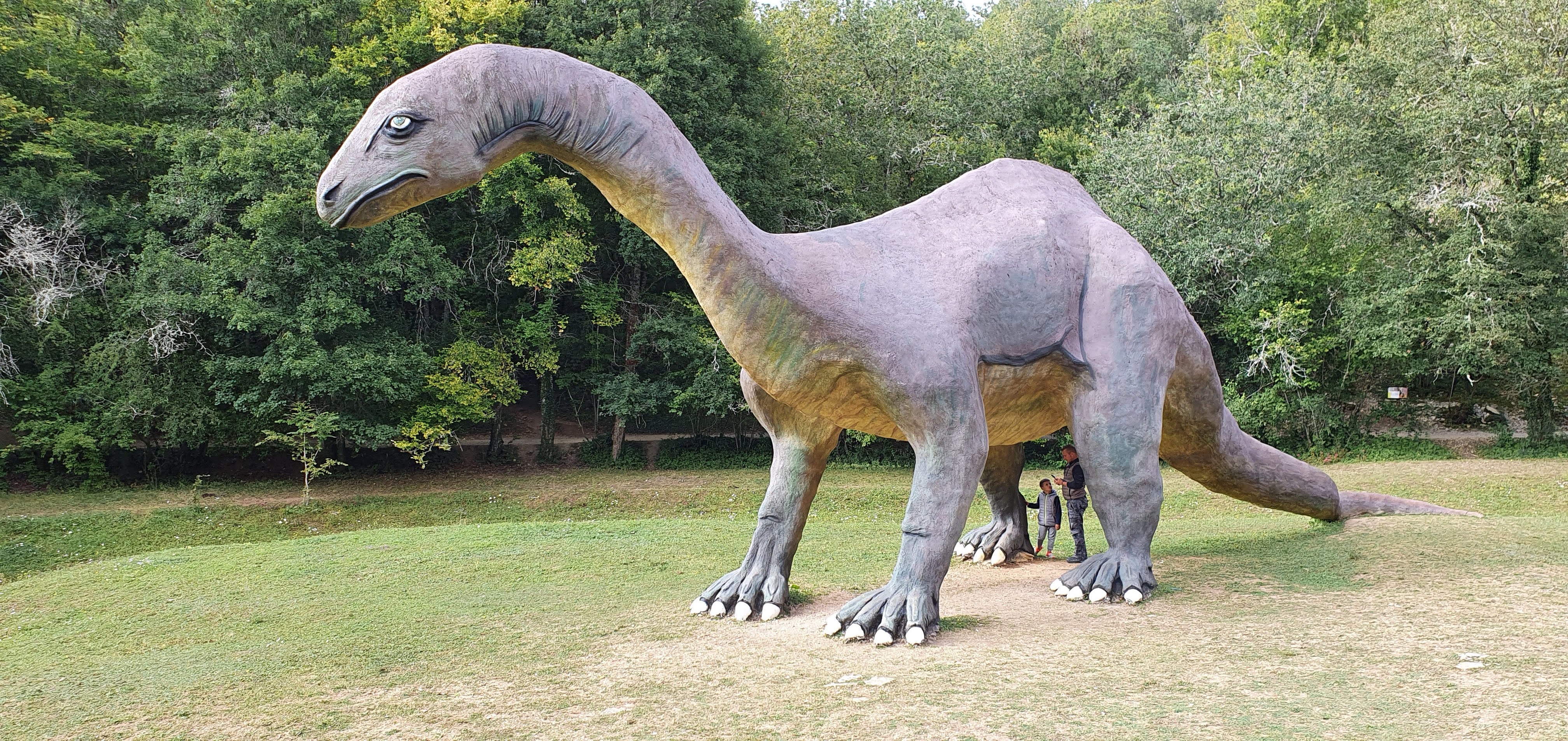 Photo n° 2 de l'avis de Gertrud.4 fait le 29/08/2021 à 14:44