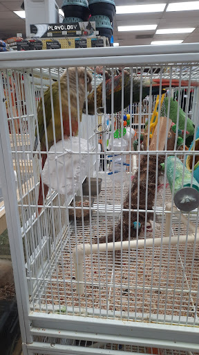 Pet Supply Store «Pet Supermarket», reviews and photos, 1800 W 68th St #140, Hialeah, FL 33014, USA