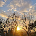 Photo n°3 de l'avis de Leandra.u fait le 25/12/2023 à 14:40 sur le  Il Maniero à Cassino