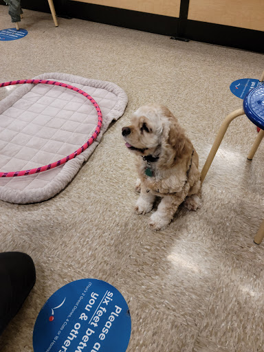 Pet Supply Store «PetSmart», reviews and photos, 200 S Village Center Dr, Southlake, TX 76092, USA