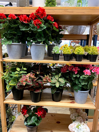 Garden Center «Stauffers of Kissel Hill Home & Garden Store», reviews and photos, 4450 Lincoln Hwy, York, PA 17406, USA