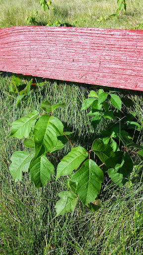 Golf Course «Moose Ridge Golf Course & Grille», reviews and photos, 11801 Doane Rd, South Lyon, MI 48178, USA