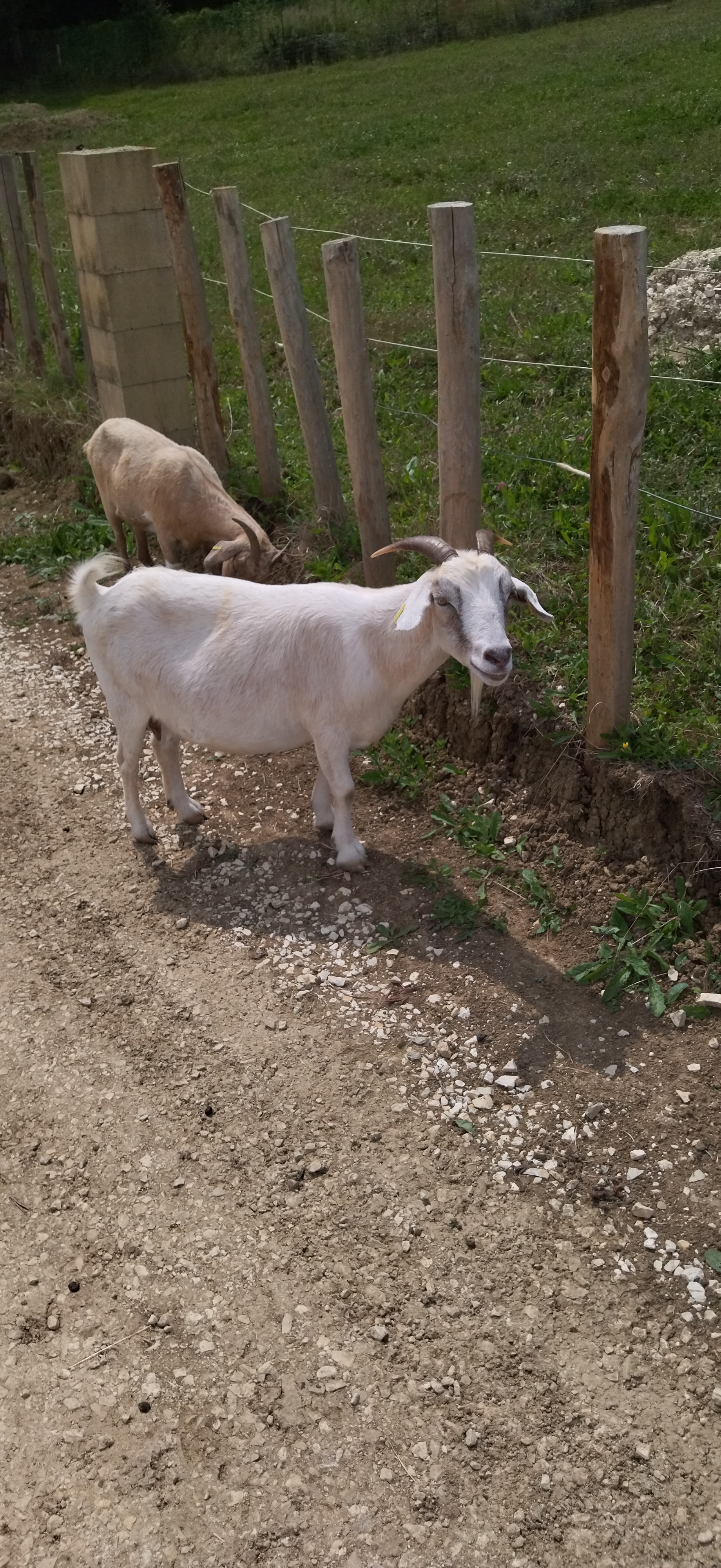 Photo n° 9 de l'avis de Laetitia.L fait le 09/08/2021 à 15:23