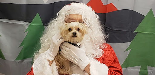 Pet Supply Store «PetSmart», reviews and photos, 2325 S Stemmons Fwy, Lewisville, TX 75067, USA