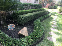 CS Landscaping & Construction - Photo 2 - Car repair in , The Woodlands