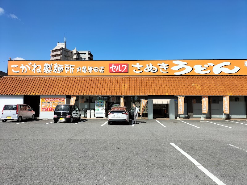 こがね製麺所 丸亀原田店
