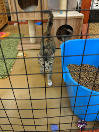 Pet Supply Store «Pet Supplies Plus», reviews and photos, 11054 Lee Hwy, Fairfax, VA 22030, USA