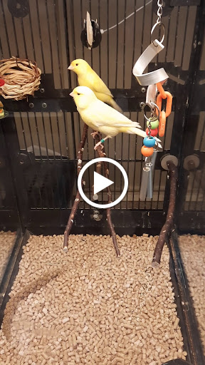 Pet Supply Store «PetSmart», reviews and photos, 5285 Wadsworth Bypass, Arvada, CO 80002, USA