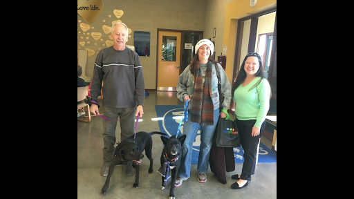 Real Estate Agency «Marshall Realty», reviews and photos