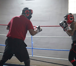 Sweet Science Boxing and Fitness photo