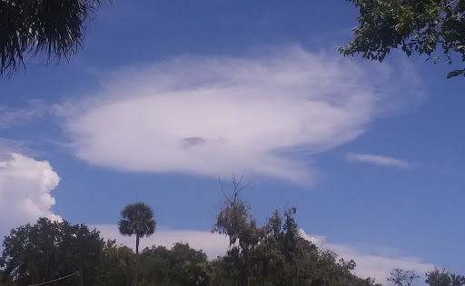 Golf Course «Riviera Country Club», reviews and photos, 500 Calle Grande St, Ormond Beach, FL 32174, USA