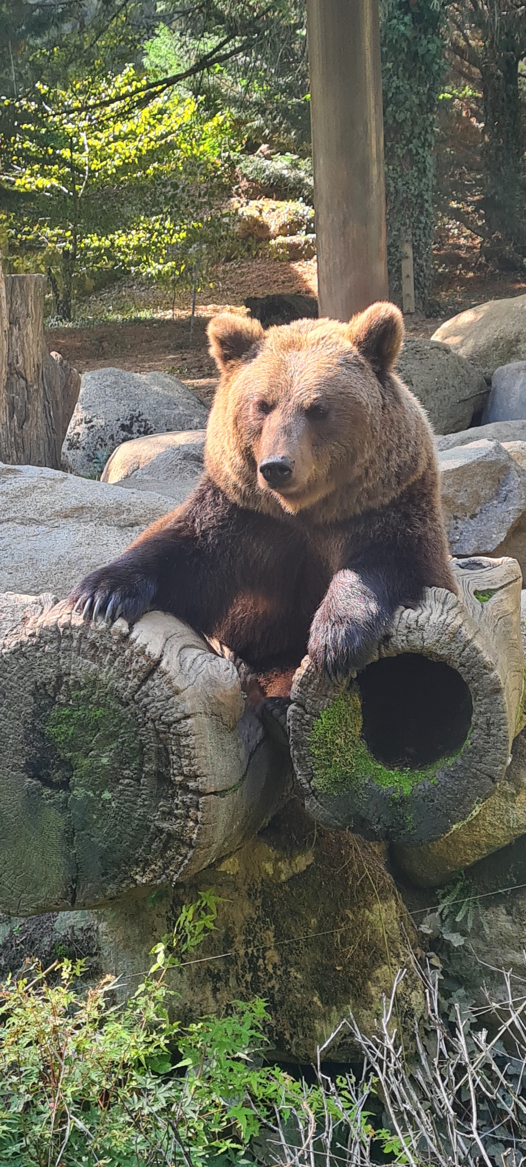 Photo n° 24 de l'avis de Jacky.r fait le 18/09/2022 à 05:13