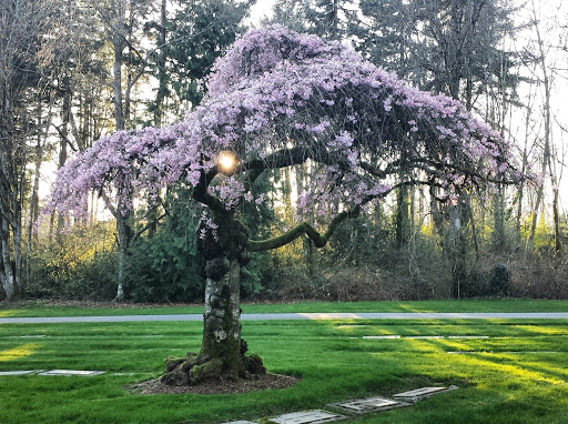 Funeral Home «Acacia Memorial Park & Funeral Home», reviews and photos, 14951 Bothell Way NE, Seattle, WA 98155, USA