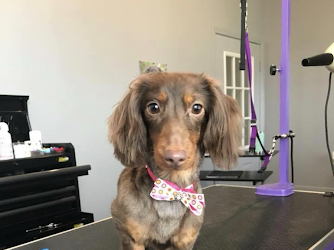 Pretty Paws Dog Grooming Salon