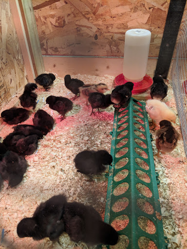 Clothing Store «Big R McHenry», reviews and photos, 1860 N Richmond Rd, McHenry, IL 60051, USA