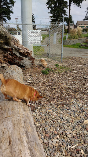 Park «Browns Point Light House Park», reviews and photos, 201 Tulalip St NE, Tacoma, WA 98422, USA