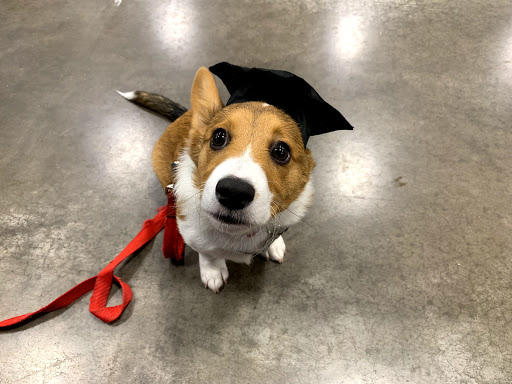 Pet Supply Store «PetSmart», reviews and photos, 8460 Tamarack Village, Woodbury, MN 55125, USA