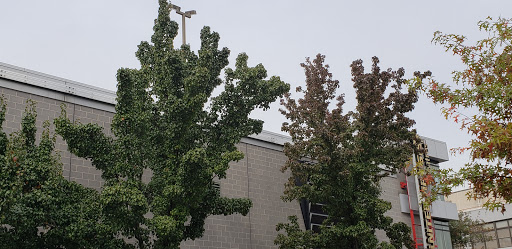 Movie Theater «UA Kaufman Astoria Cinemas 14 & RPX», reviews and photos, 35-30 38th St, Astoria, NY 11101, USA