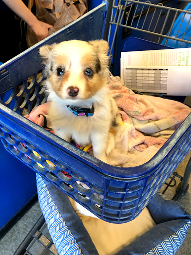 Pet Supply Store «PetSmart», reviews and photos, 637 Woodbury Glassboro Rd, Sewell, NJ 08080, USA