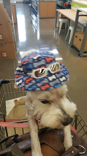 Pet Supply Store «Petco Animal Supplies», reviews and photos, 12444 NW 10th St #301, Yukon, OK 73099, USA