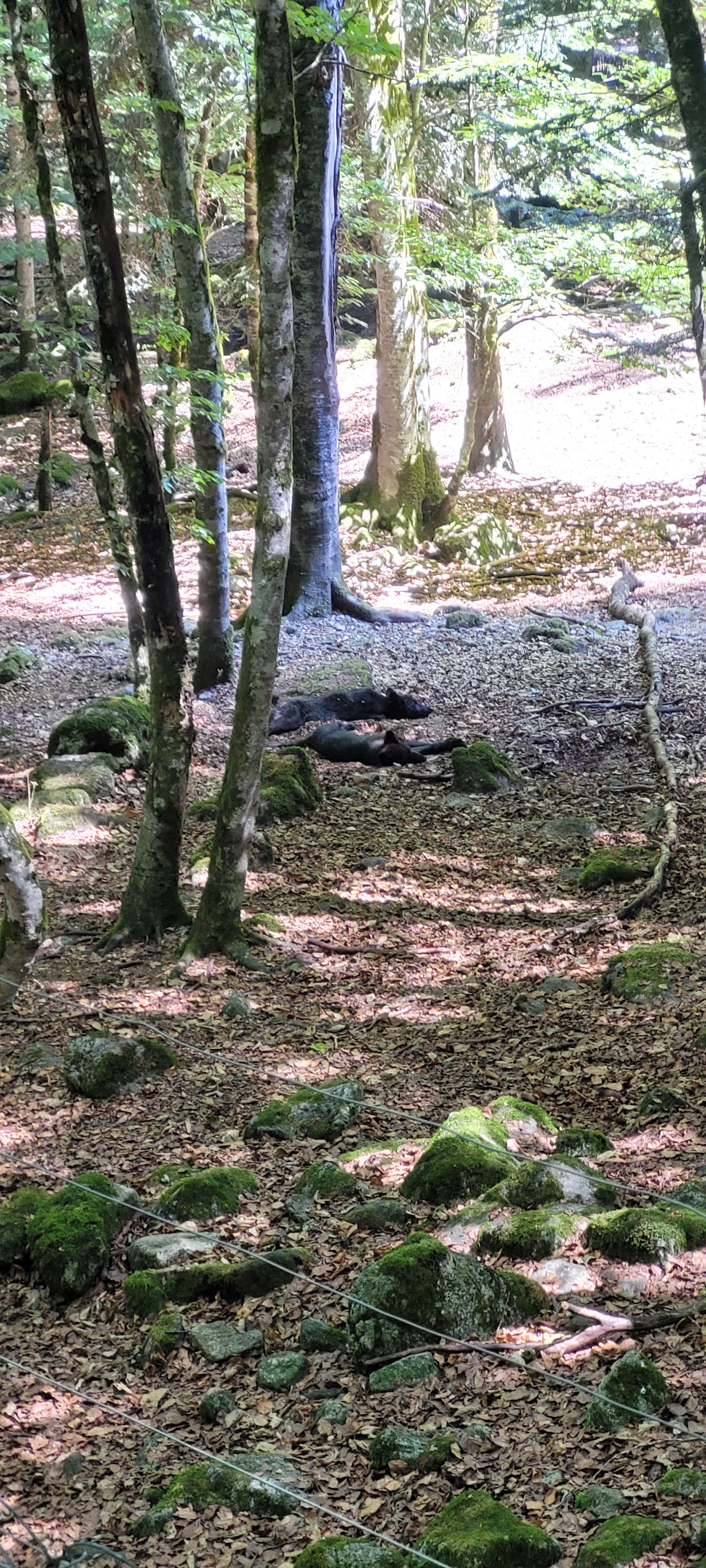 Photo n° 2 de l'avis de Sandra.e fait le 14/08/2022 à 10:14