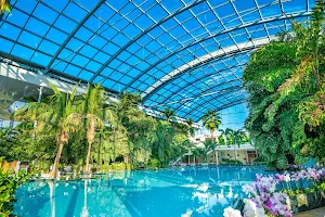 Therme Bucarest image
