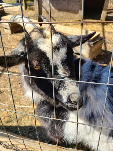 Produce Market «Highland Orchards Farm Market», reviews and photos, 1431 Foulk Rd, Wilmington, DE 19803, USA