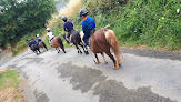 Centre Equestre Les Ecuries Du Paradis Saint-Pierre-Langers