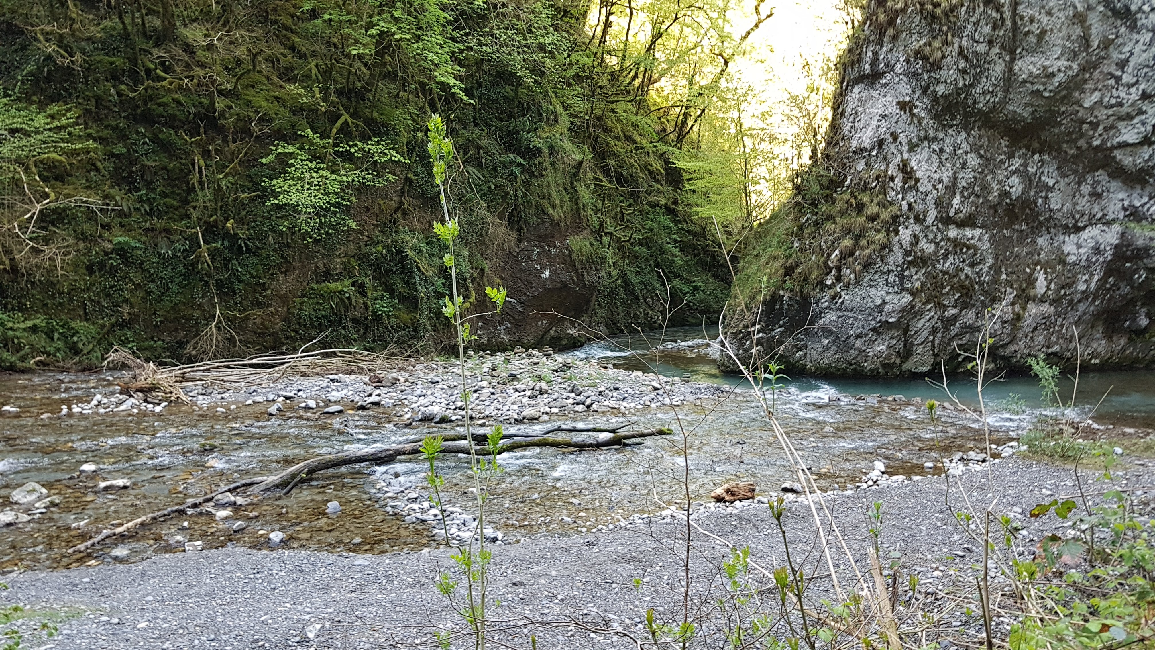 Photo n° 5 de l'avis de Olivier.t fait le 03/05/2018 à 05:59