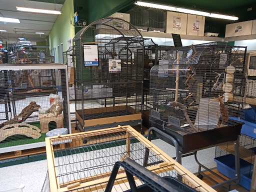 Kölle Zoo Karlsruhe unter Karlsruhe, 