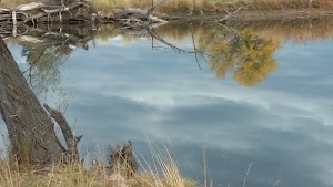 Bear Creek Greenbelt - photo 72