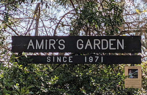 Amir's Garden