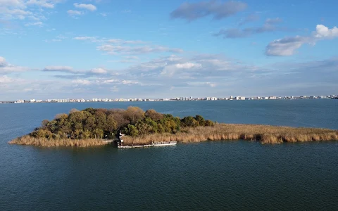 Waterfront Park Ovidiu image