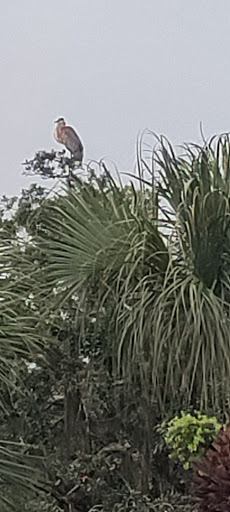 Golf Club «Riverside Club Golf & Marina Community», reviews and photos, 2550 Pier Dr, Ruskin, FL 33570, USA