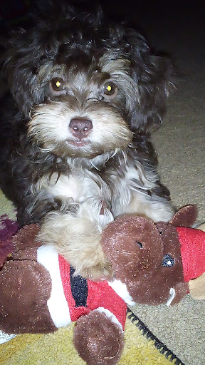 John's Veterinary Clinic image