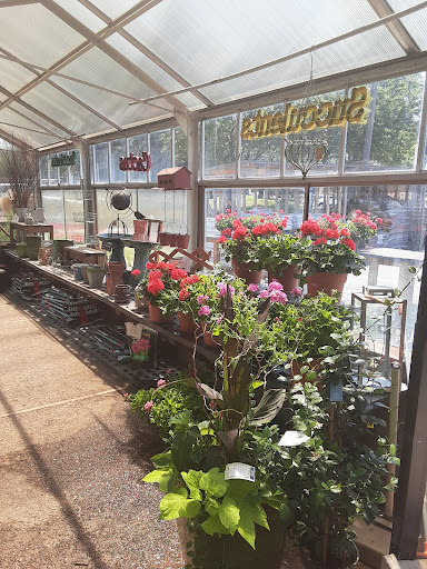 Florist «Chenoweth Floral & Greenhouses», reviews and photos, 563 Old Hwy 8 SW, St Paul, MN 55112, USA