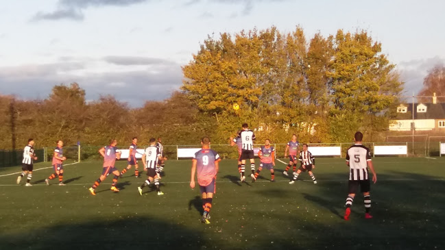 Comments and reviews of Yaxley Football Club