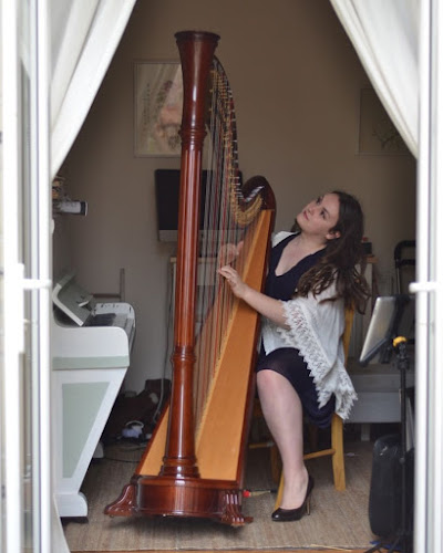 Reviews of Sam Hickman Harpist in Cardiff - Music store