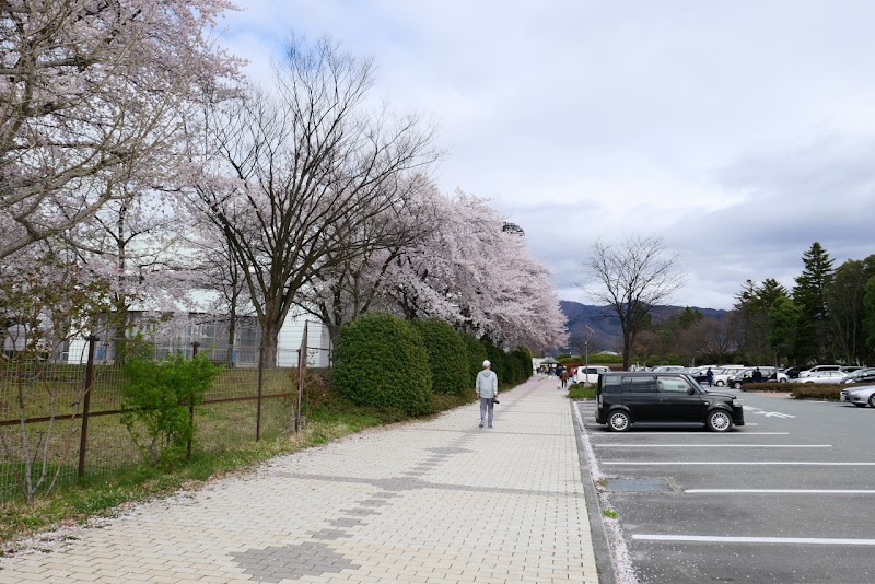 山形県総合運動公園 南駐車場