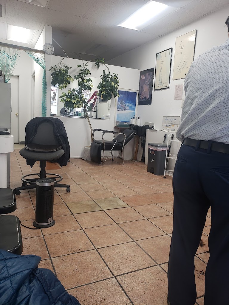 V. V. Hair & Nails 95035