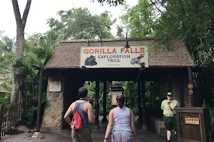 Gorilla Falls Exploration Trail image