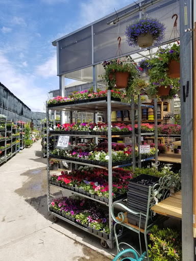 Florist «Metropolitan Plant & Flower Exchange Inc.», reviews and photos, 2125 Fletcher Ave, Fort Lee, NJ 07024, USA