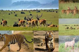 Jim Corbett National Park Tour Services image