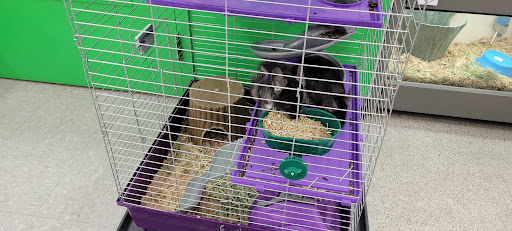 Pet Supply Store «Pet Supplies Plus», reviews and photos, 646 Long Hill Rd, Groton, CT 06340, USA