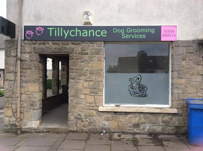 Tillychance Dog Grooming Services - Livingston