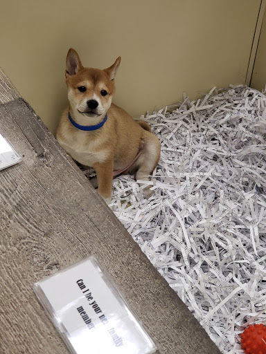 Pet Store «The Pet Shop», reviews and photos, 1988 MacArthur Rd, Whitehall, PA 18052, USA