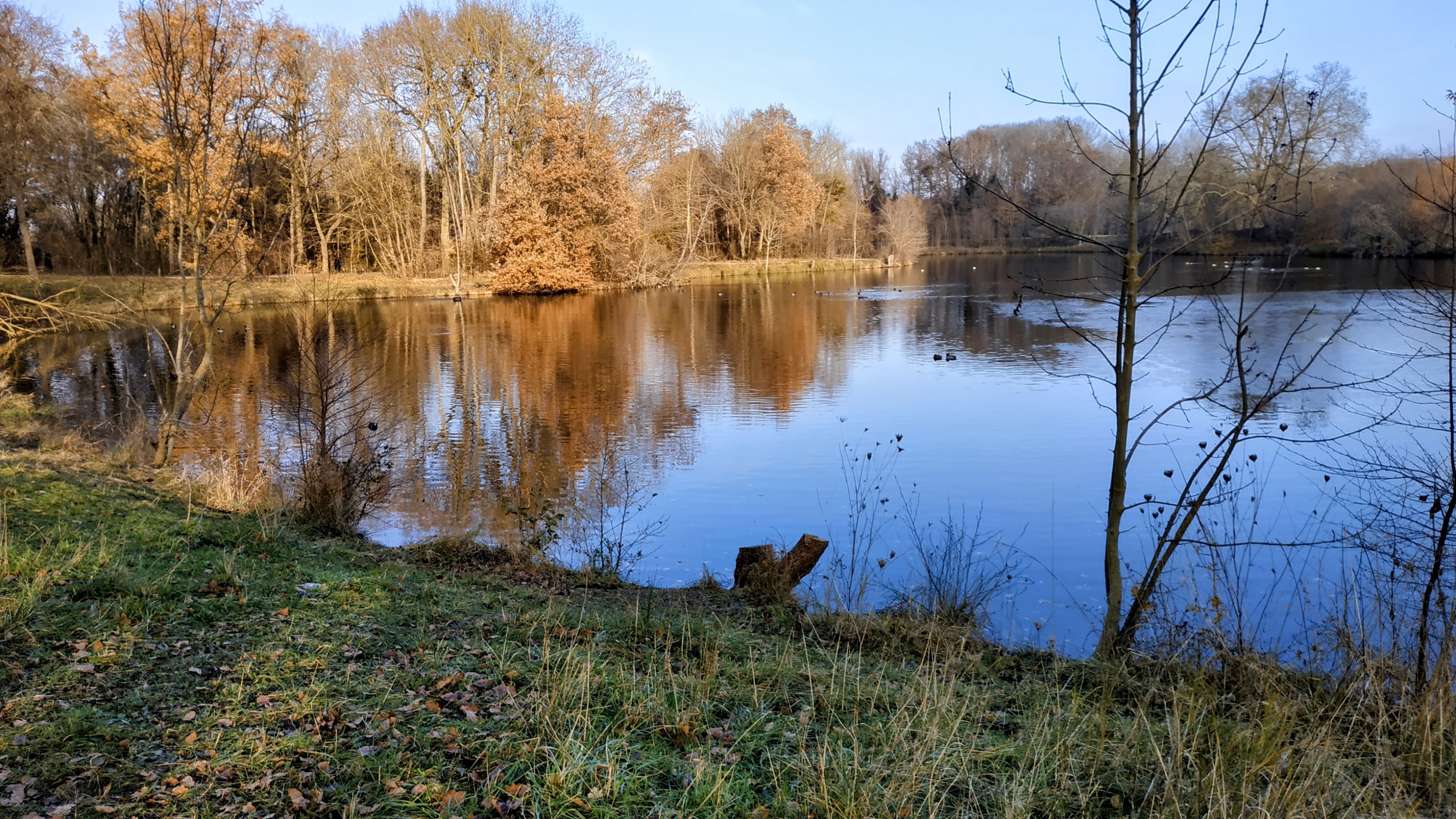 Photo n° 12 de l'avis de The.a fait le 28/12/2022 à 17:01