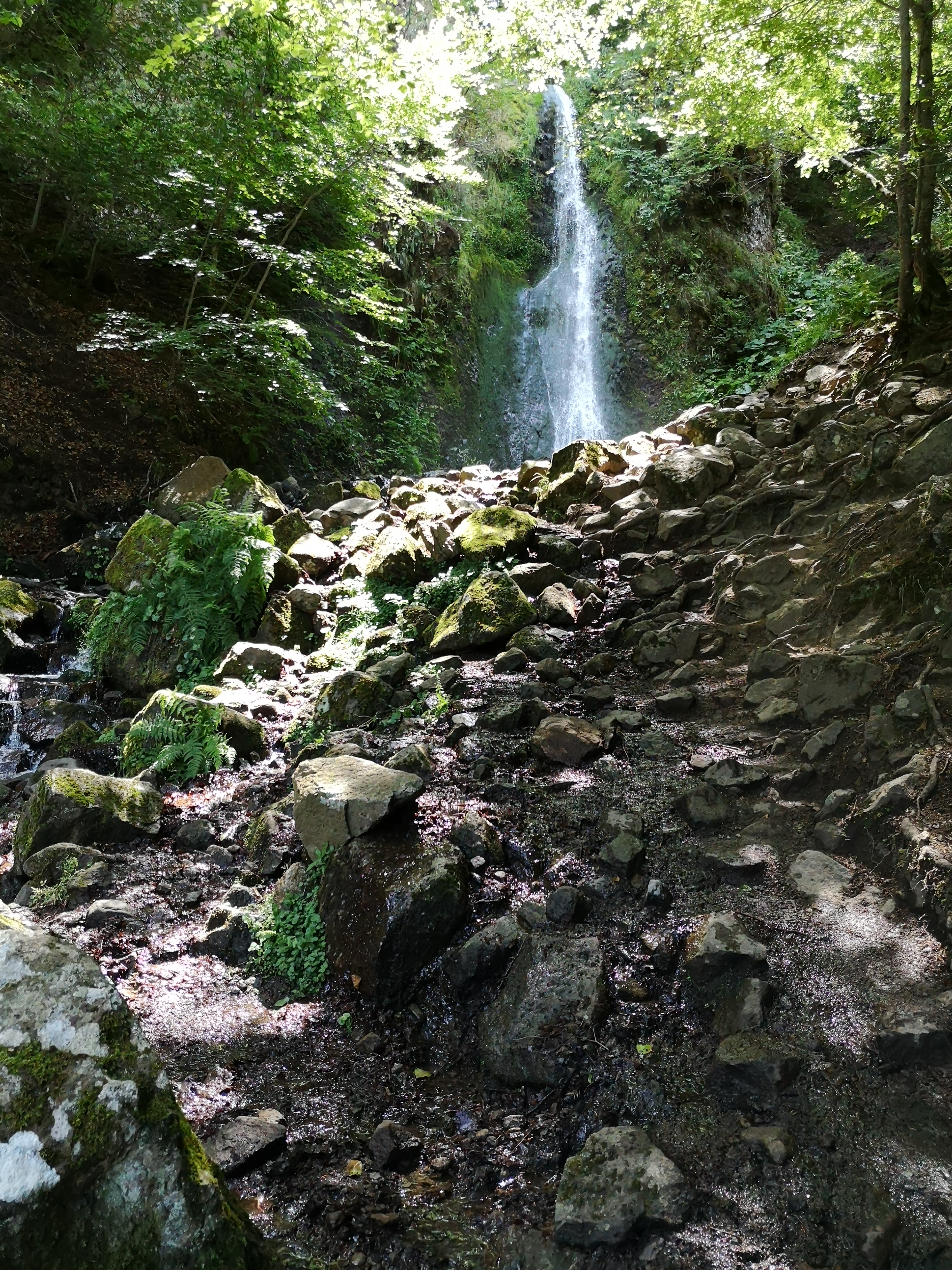 Photo n° 4 de l'avis de Guillaume. fait le 31/07/2019 à 13:37